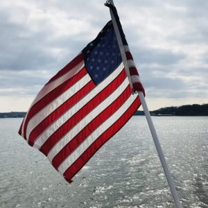 a flag next to a body of water