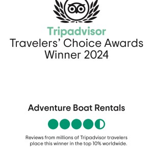 a close up of a flower