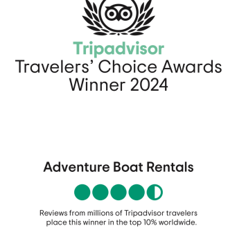 a close up of a flower