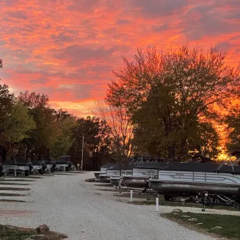 a row of park benches sitting next to a tree
